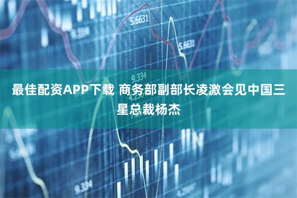 最佳配资APP下载 商务部副部长凌激会见中国三星总裁杨杰